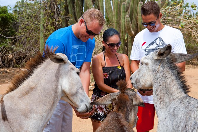 Baby Beach Off-Road Safari - Dining at Baby Beach