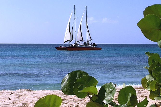 Barbados Catamaran Turtle and Shipwreck Snorkeling Cruise - Snorkeling at Shipwreck