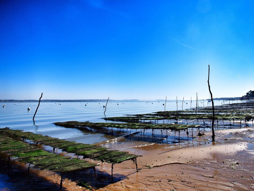 Bay of Arcachon: Guided Food Tour - Highlights