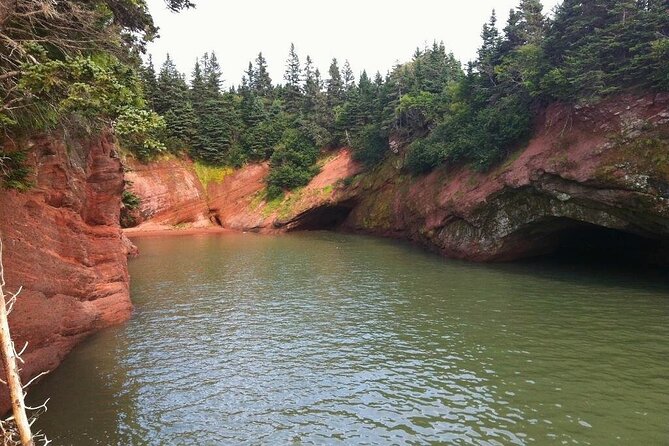 Bay of Fundy Tour in Luxury Car - Tour Duration and Itinerary