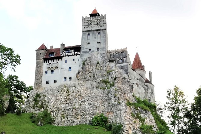 Bear Sanctuary and Draculas Castle, 1-day Private Tour - Sanctuary Visit and Activities