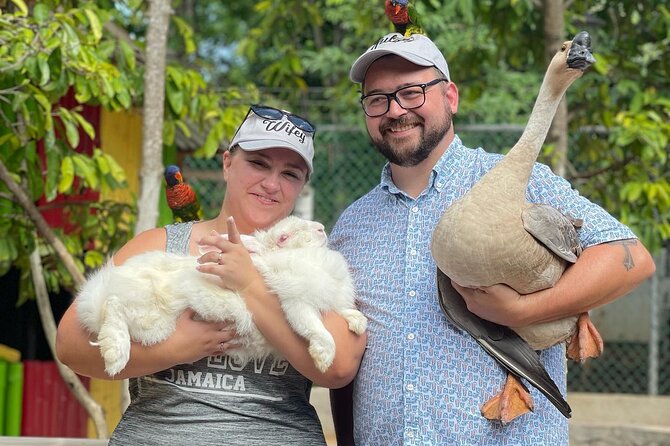 Bird Sanctuary and Animal Farm Day Tour - Hand-feeding Exotic Birds