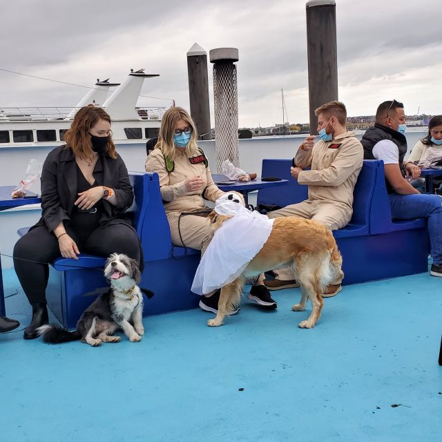 Boston: Dog-Friendly Halloween Costume & Sightseeing Cruise - Onboard Amenities