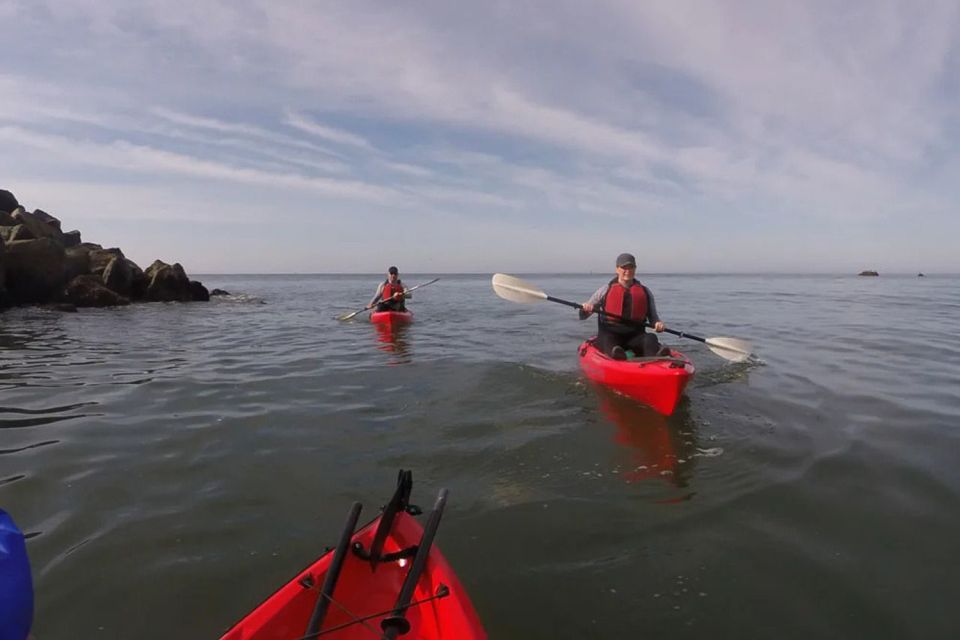 Brookings: Pacific Ocean Kayak Tour - Included Gear and Equipment