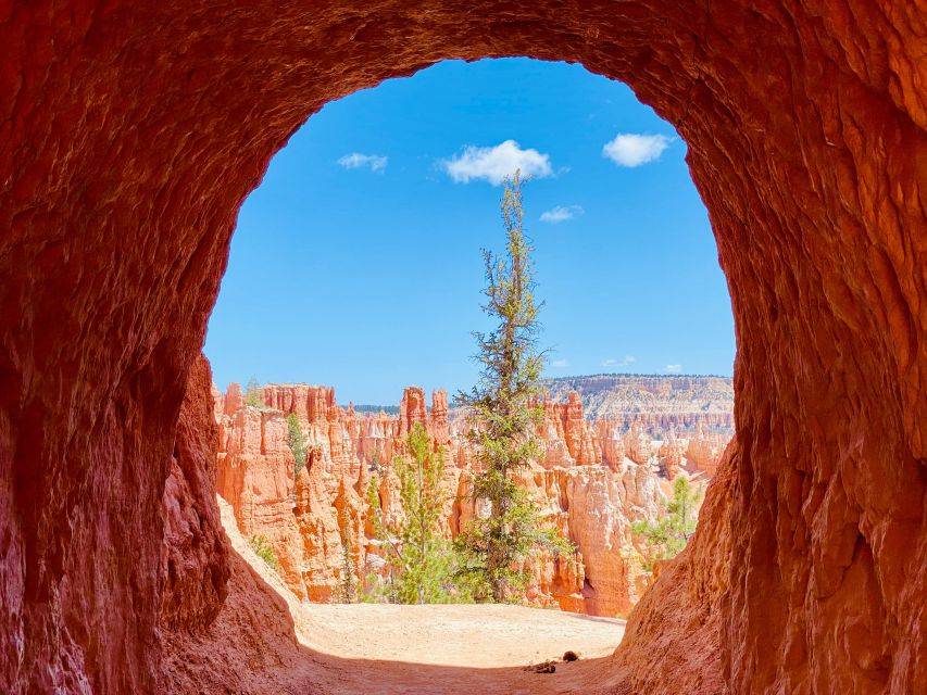 Bryce Canyon National Park: Guided Hike and Picnic - Picnic Lunch and Inclusions