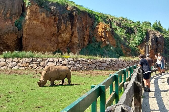 Cabarceno Natural Park Visit - Included Amenities