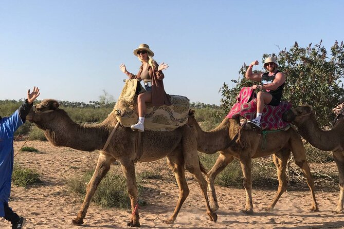 Camel Ride in Agadir at Sunset With Dinner (Bbq) - Scheduling and Availability