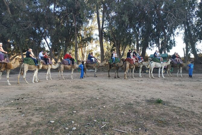 Camel Ride + Sunset + BBQ Dinner in Agadir - Witnessing the Sunset in Agadir