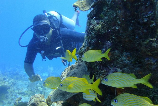 Catalina Island Scuba Diving and Snorkeling Tour From Punta Cana - Meeting and Pickup Details