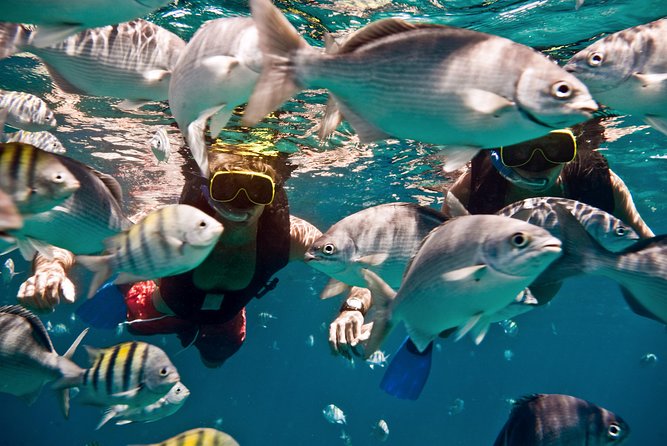 Catamaran and Snorkeling Cruise At Carlisle Bay - Review Highlights