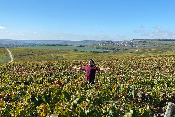 Champagne Cellars & Vineyards Tour From Reims Full Day - Champagne Winery Visits