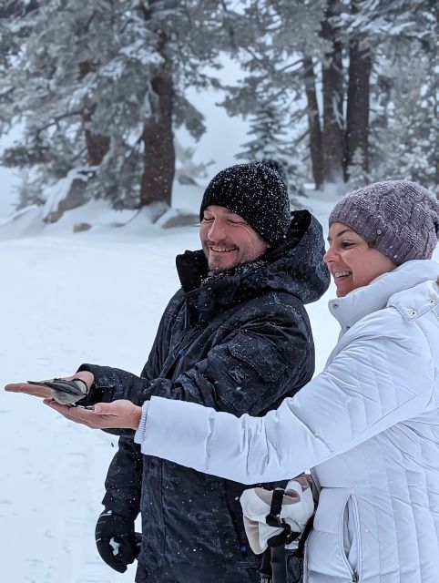 Chickadee Ridge Beginner Snowshoeing Hike - Wildlife Encounter