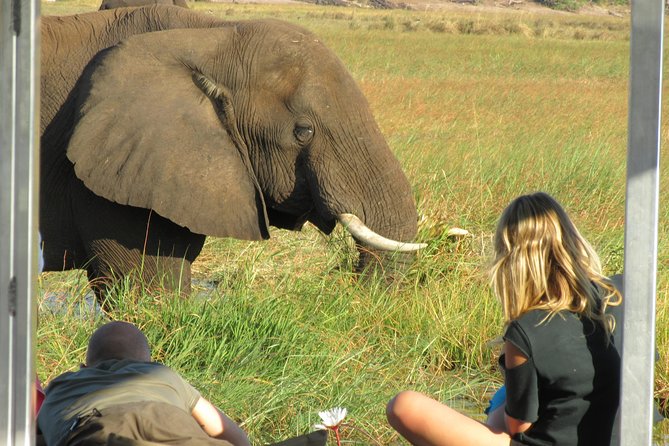 Chobe Day Trip From Victoria Falls Zimbabwe - Inclusions and Logistics