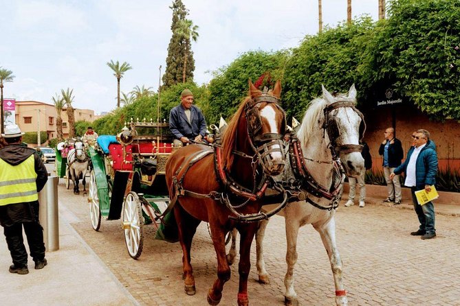 City Tour in Marrakech, Book Your Guide With Us. - Meeting and Pickup