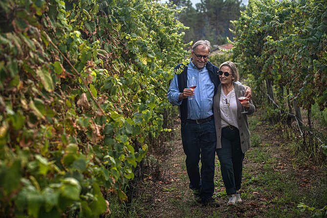 Classic Tasting | Quinta De Santa Cristina Vinho Verde - Visitor Reviews and Testimonials