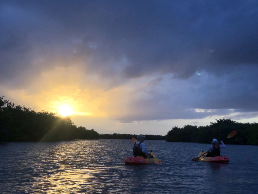 Cocoa Beach: Sunset Guided Kayak Tour - Tour Details