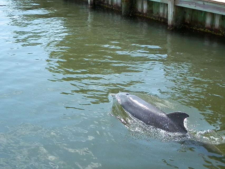 Cocoa Beach: Thousand Islands Banana River Boat Cruise - Important Information