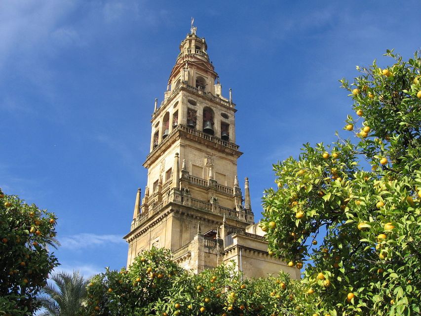 Cordoba: Mosque-Cathedral Private Tour With Ticket Included - Itinerary