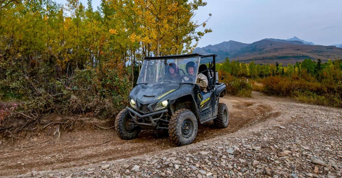 Denali National Park: Wilderness ATV Adventure - Riding Solo or With Friends