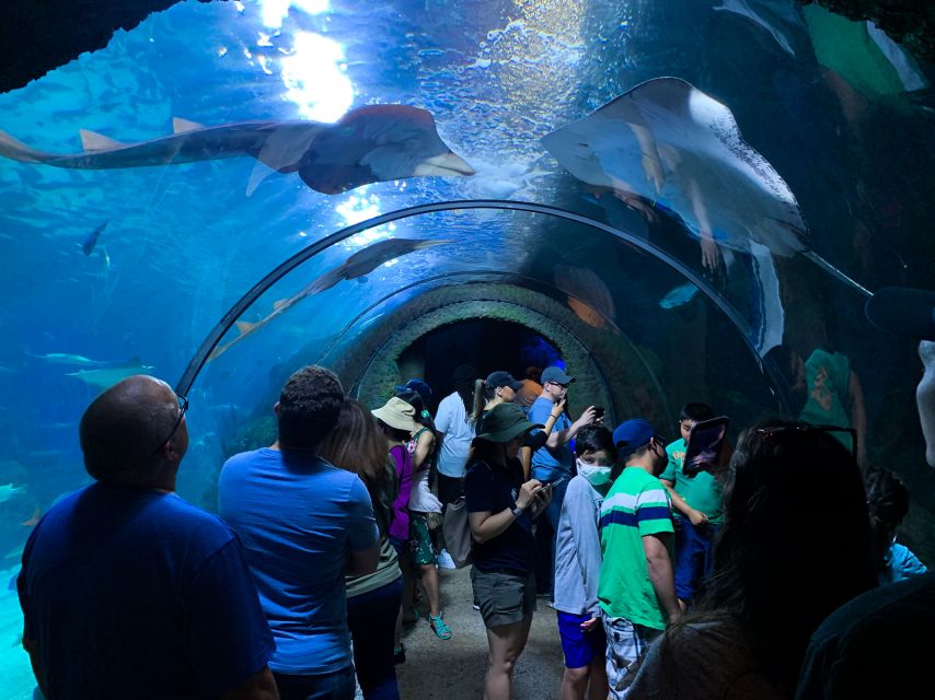 Denver: Downtown Aquarium All-Day Pass - Exhibits and Interactive Experiences