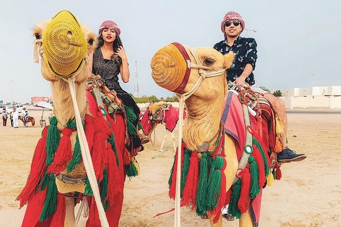 Desert Safari - Camel Ride and Sandboarding