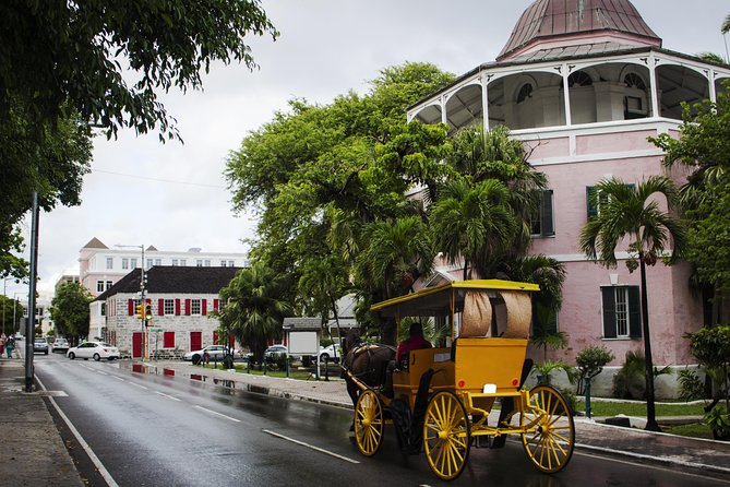 Dilly Dally Walking Tour of Nassau Attractions - Professional Guide and Commentary