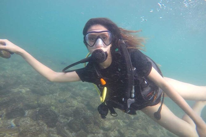 Discovery Scuba Diving in Dubai - Meeting Point and Accessibility