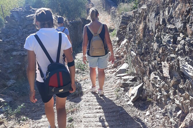 Douro Valley Private Hike&Picnic - Traveler Reviews