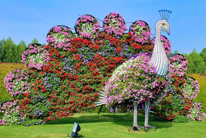 Dubai Miracle Garden Ticket With Transfer - Pickup and Dropoff Arrangements