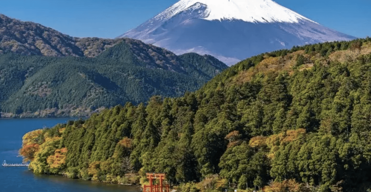 【Muslim Friendly】 Hakone 1-Day Private Tour - Included Services