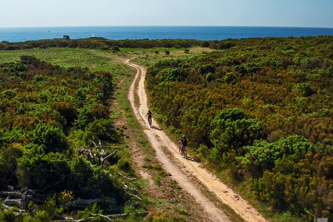 Electric Off-Road Scooter Tour in Pula - Additional Information