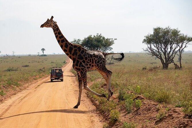 Entebbe Airport Taxi. for a Safe, Affordable and Reliable 24/7 Airport Transfer. - Private and Personalized Experience