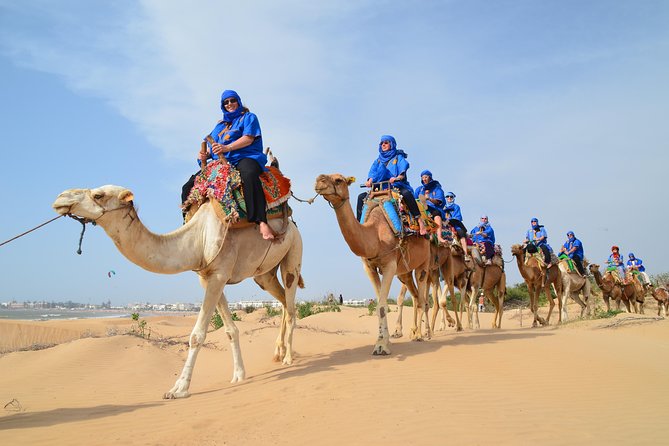 Essaouira 2-Hour Camel Adventure Ride - Meeting and Pickup Details