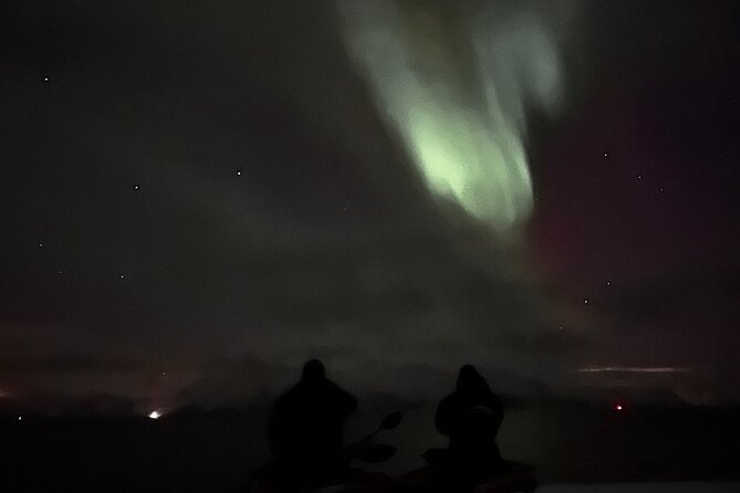 Evening Tour and Aurora Borealis Sightseeing in Norway by ATV - Traveler Feedback and Reviews