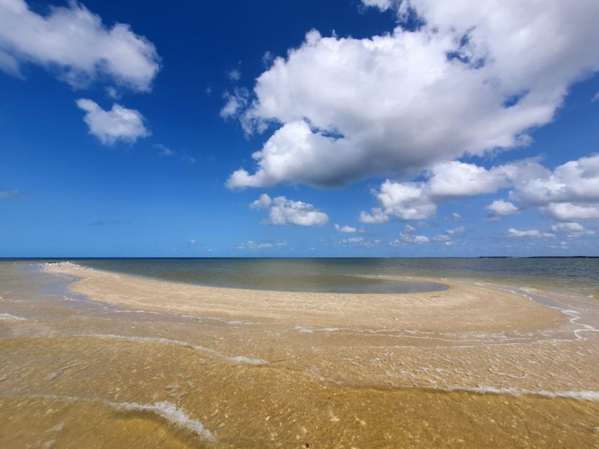 Everglades National Park: Motorboat Eco Tour - Wildlife Sightings