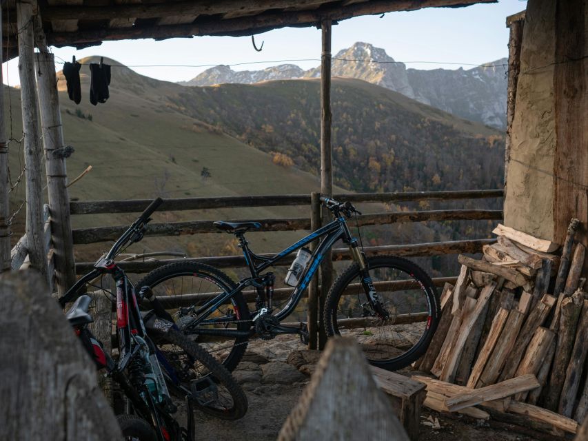 Forest Of Dean: Mountain Bike Tour - Included