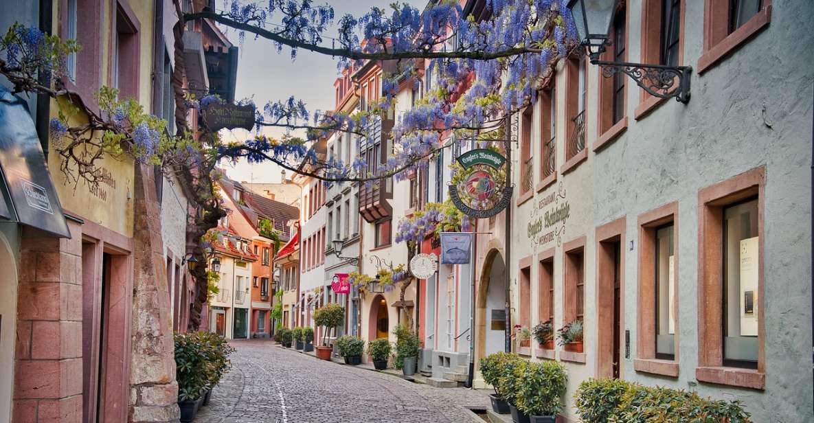 Freiburg Im Breisgau: Walking Tour of the Old Town in English - Münsterplatz Freiburg