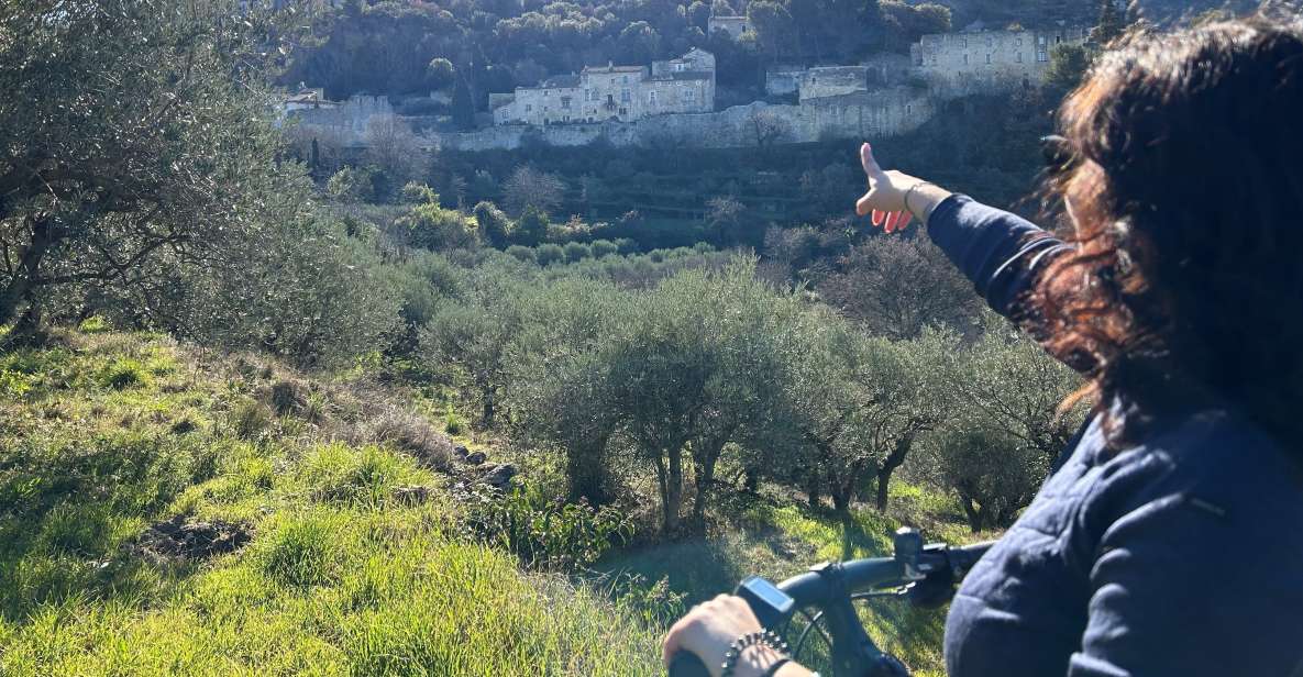 From Aix-en-Provence: Luberon Region E-Bike Full-Day Tour - Savoring Local Producer Tastings