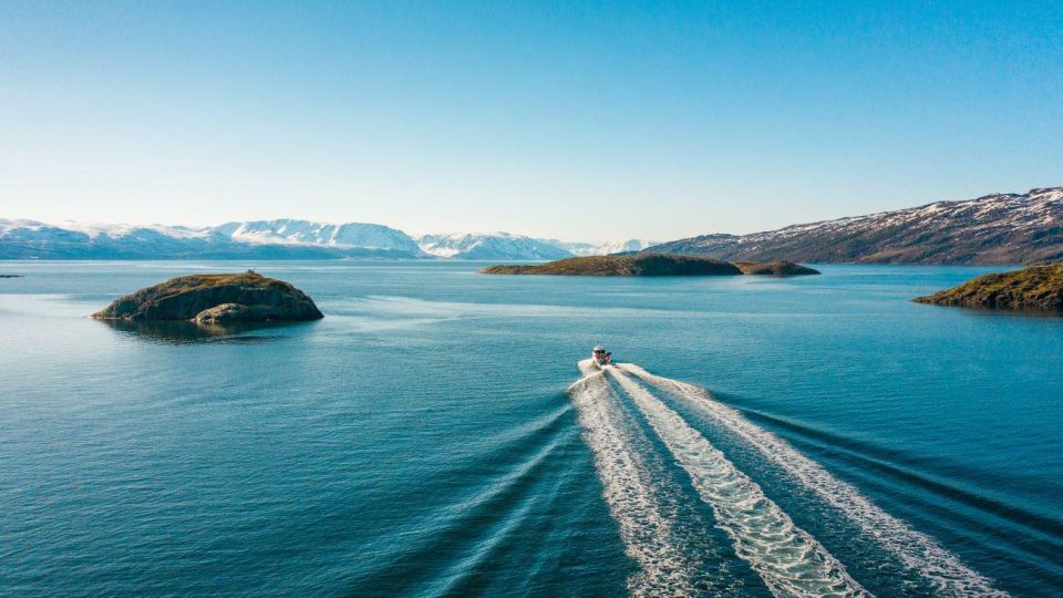 From Alta: Adventure Cruise in Alta Fjord - Highlights