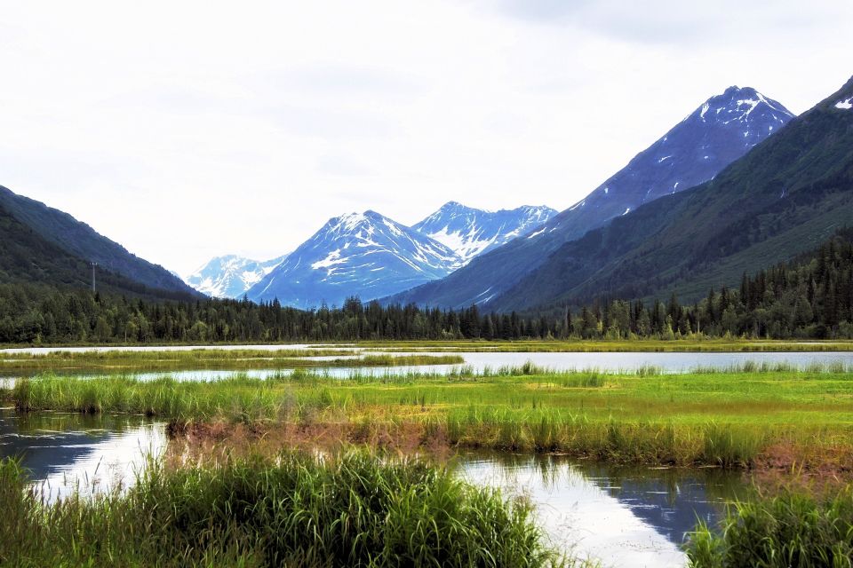 From Anchorage: Turnagain Arm and Wildlife Center Tour - Transportation and Logistics