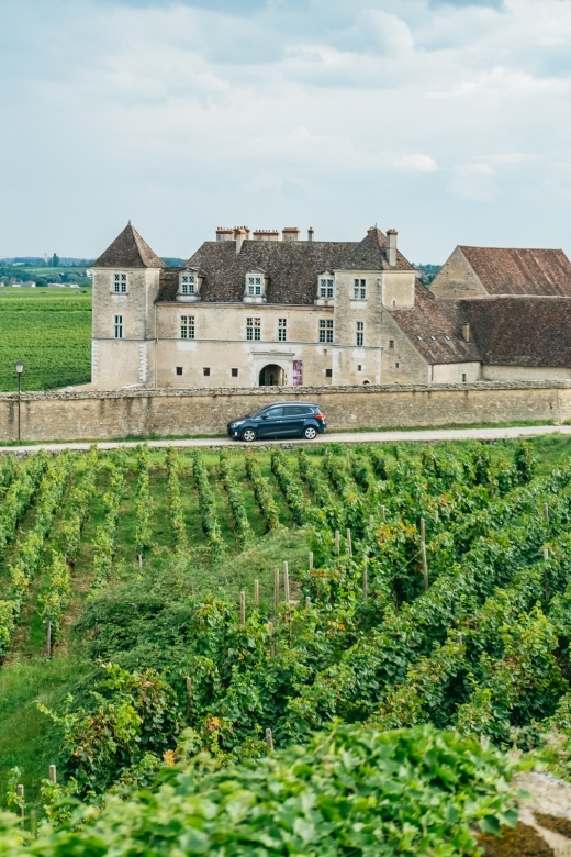 From Beaune: Burgundy Day Trip With 12 Wine Tastings - Lunch in a Local Restaurant