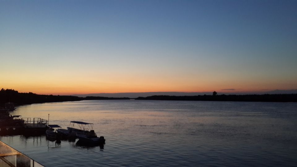 From Bucharest: 3-Day Danube Delta Birdwatching Private Tour - Birdwatching in the Danube Delta