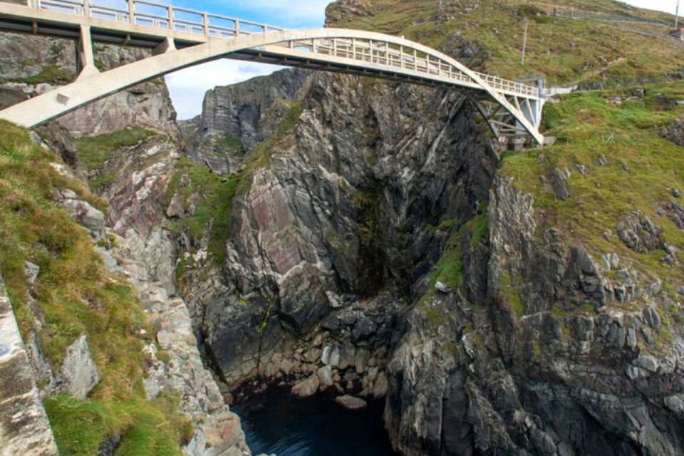 From Cork: Guided Full-Day West Cork to Mizen Head Tour - Experience and Guide