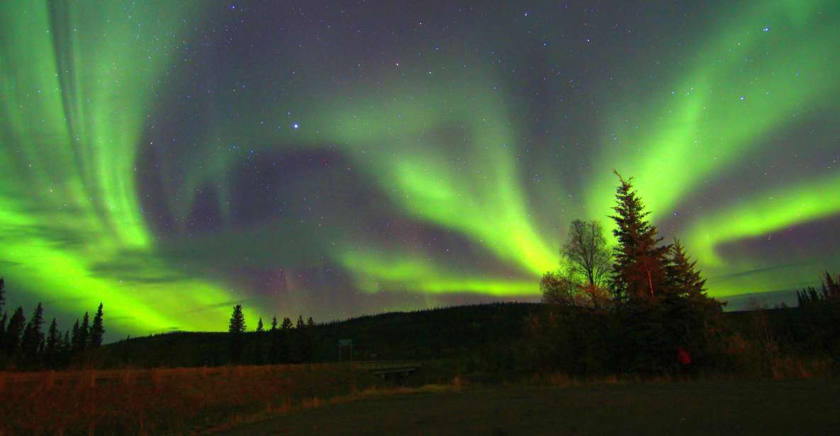 From Fairbanks: Northern Lights & Murphy Dome Tour - Pickup and Language