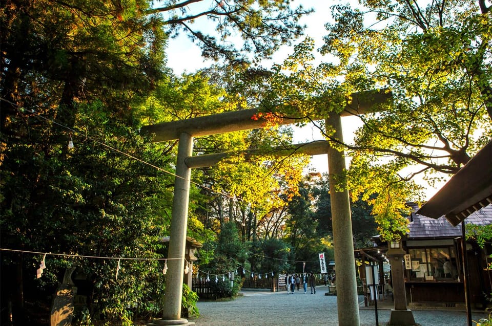 From Fukuoka Day Trip Review: Takachiho Gorge - Highlights and Attractions