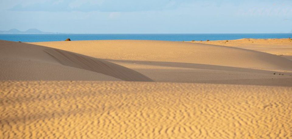 From Lanzarote: Corralejo Buggy Safari - Tour Highlights