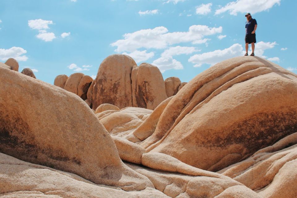 From Las Vegas: 4-Day Hiking and Camping in Joshua Tree - Included in the Trip