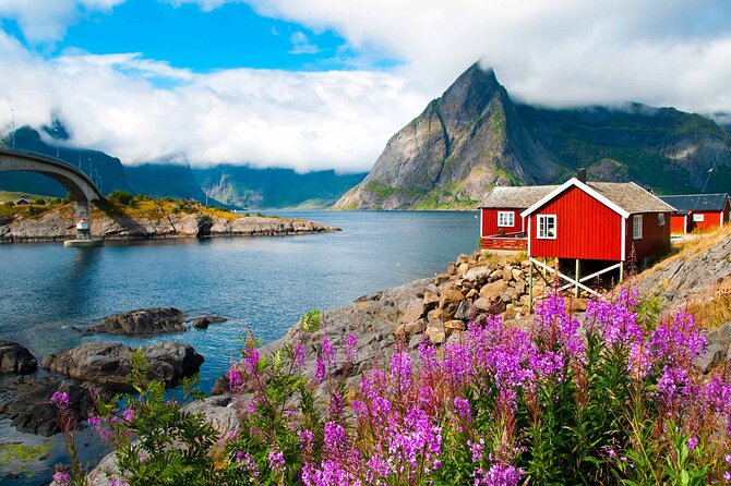 From Leknes Port: Special Summer Guided Tour of Lofoten - Private Transportation and Refreshments