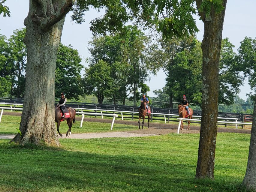 From Lexington: Kentucky Horse Farms Tour - Transportation and Inclusions