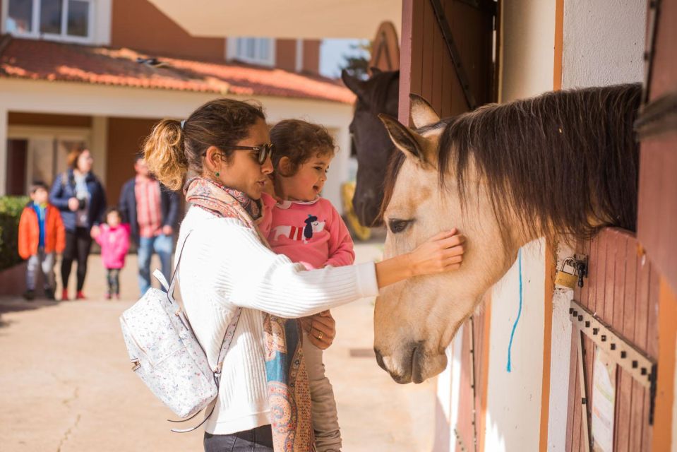 From Lisbon: The Best of Alentejo Day Trip All Inclusive - Winery and Olive Oil Experience